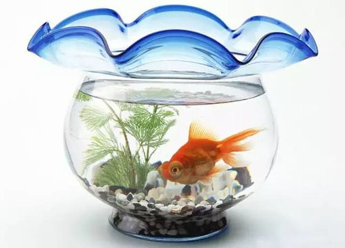 浴缸摆放的基本原则