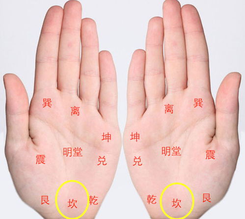 感情线未端分叉的人
