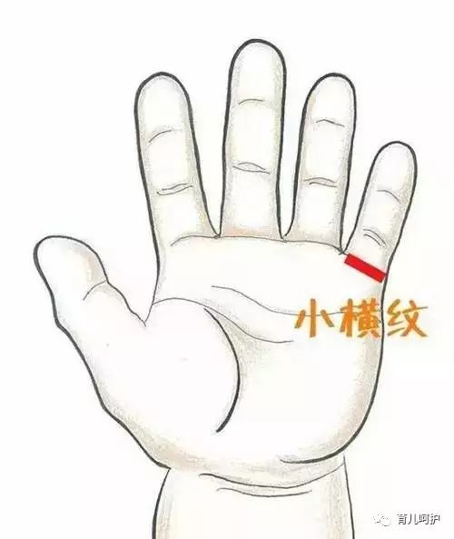 小儿积食时，手部哪个穴位位置可以观察？