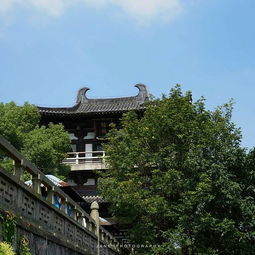 上午：普照寺较深度游， 从建筑到禅意的缓慢节奏