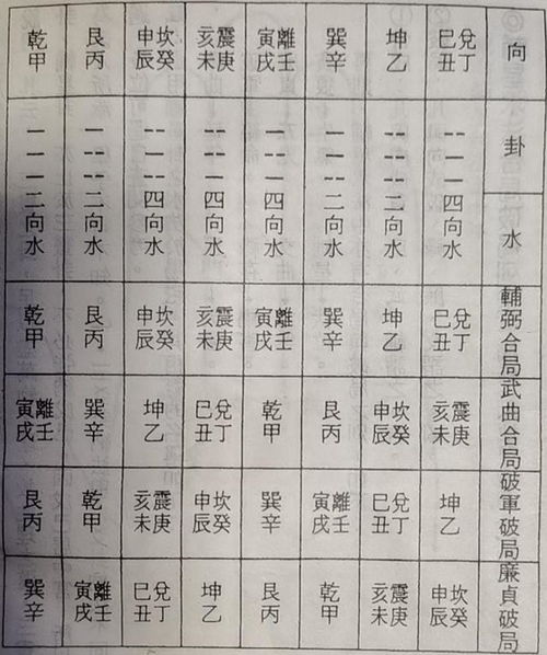 五、 案例分析：九星水法在实际项目中的运用