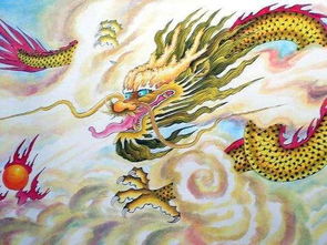 2026年88年属龙人运势如何？全年运势及运程详解？