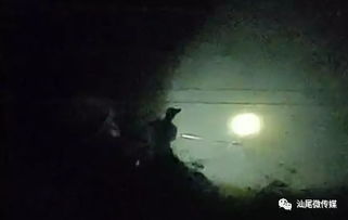 悬疑日记：三更半夜从床底下伸出来的手到底是谁的？