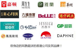 进出口贸简单公司起名：破局指南与实战技巧