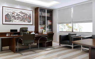 案例二：某影视明星之白色基调与艺术氛围