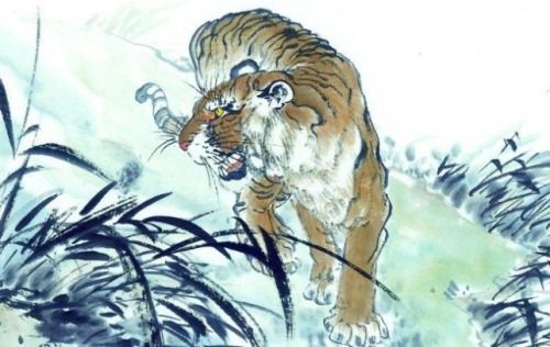 属虎人明天的运势如何？十二生肖运势中虎的运势具体怎样？