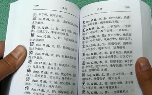 第一章：起名的艺术与灵魂的拷问