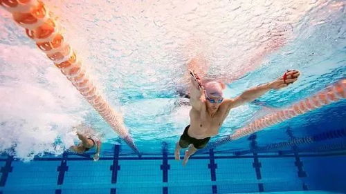 泳字的神秘力量：一个让你孩子变成锦鲤的密码