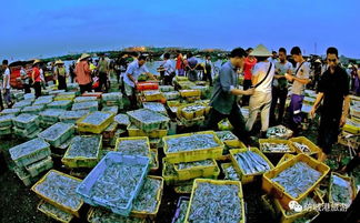 海鲜市场里的“腥”鲜体验 (和蟑螂)