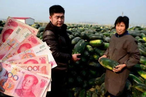 各项禁忌背后的社会周边环境功能与心理状态机制解析