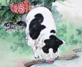 属猪人未来十年的运势简析