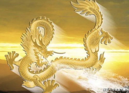 属龙人2026年运势如何？运势运程具体表现是什么？