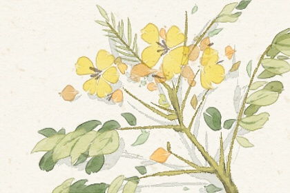 做梦还得看黄历？