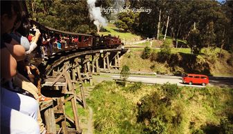 4. 江西井冈山——红色旅游与自然风光 (夏季平均温度：24-30℃, 适合年龄：7岁以上)