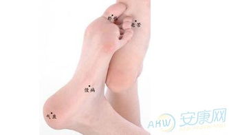 心理机制与社会文化影响的深度剖析