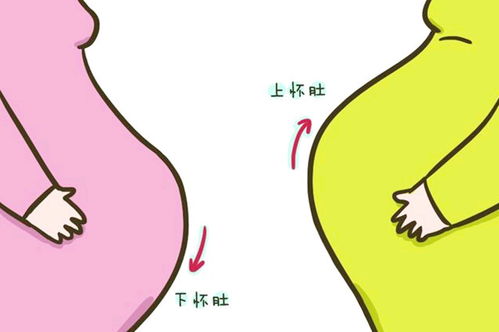 3. 呼吸和循环系统