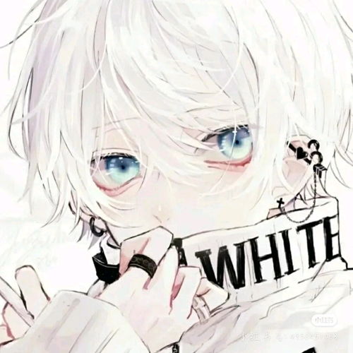 将生肖星座与风水元素巧妙融合以实现创新命名策略