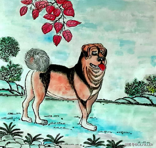 少年情和正当壮年分别对应哪个生肖？