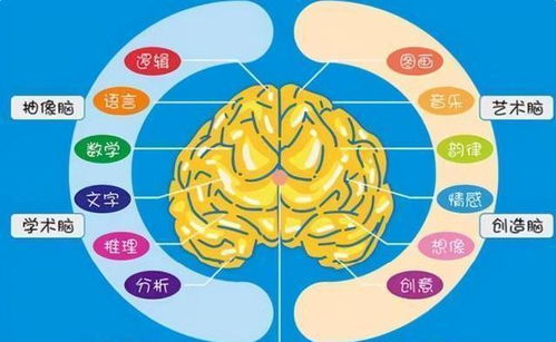 十岁孩子的命运会如何，他们应该具备哪些特质和能力？