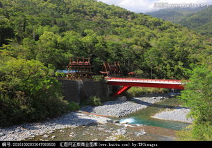 终于到了知本森林游乐区