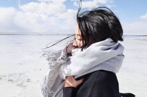 生肖鼠：机智灵动的智慧投射