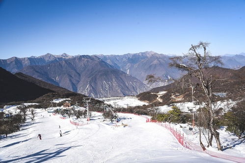 美食：辣到飞起