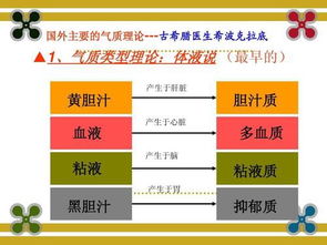 测试概述及方法论阐释