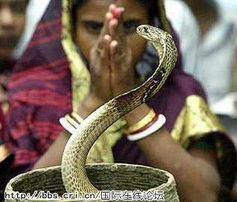 2001年出生的属蛇男孩，他的命格究竟是什么？