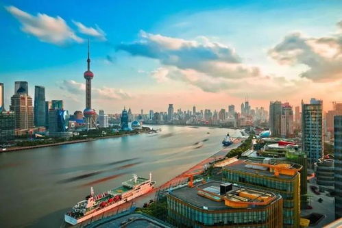 上海这座城市：给新西兰朋友的奇妙冒险