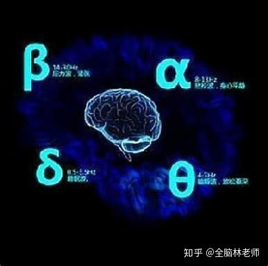 3.1 节奏与脑电波同步效应