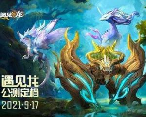 龙遇天：争先夺秀之策