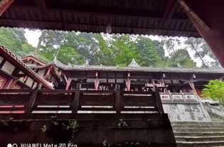 别再被“寺庙=烧钱”的套路骗了！漳州普照寺：零门票的“反佛系”修行地