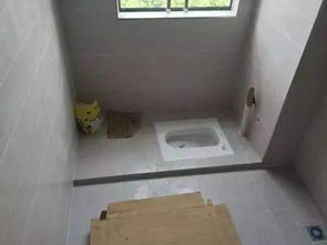 2.2 避免放置于中央：气场平衡与空间利用