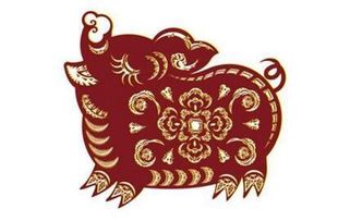 2023年生猪运势吉凶如何查询？亥猪今日财运预测怎样？