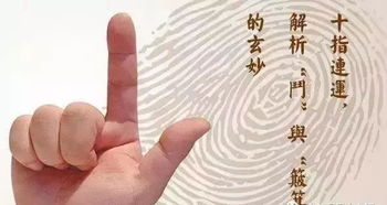 实证案例：张斗与杨簸箕