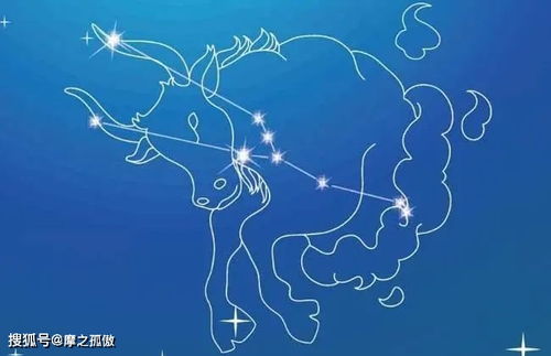 金牛座女生有哪些独特的性格特点呢？