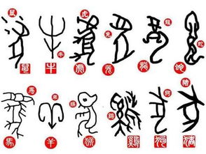 一意孤行猜一生肖，一意孤行的生肖谜底数字是多少？