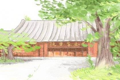 2. 大树下气场不稳之说与城市绿化现状