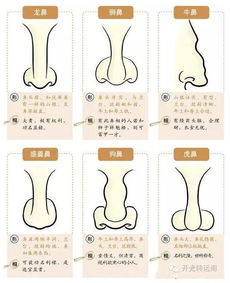 2. 婚姻与家庭运势