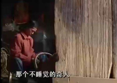 七具尸体与七段诅咒的核心事实