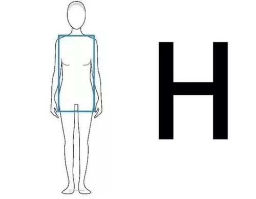 男型女身和男身女命分别对应哪种独特的命格或命局？