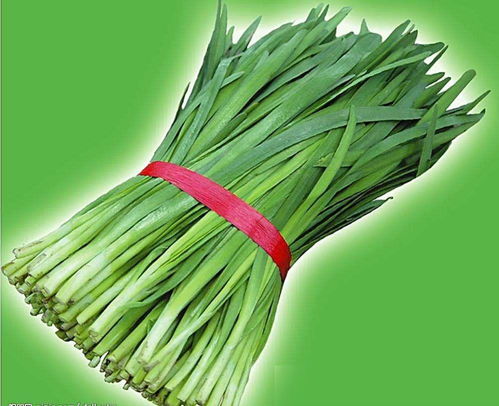 韭菜的象征意义与财运关联