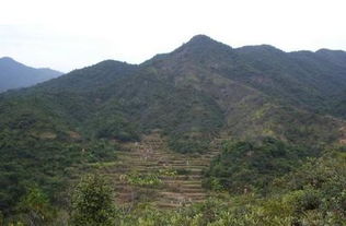 九月份破土吉日和最佳时间分别是什么？