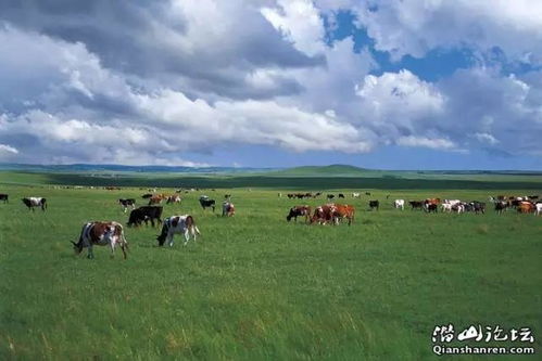 （二）北方草原马年星象研学中心