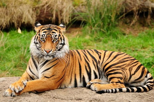 三、 起名指南之我瞎说的