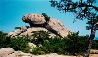 P.S. 随手写点乱七八糟的小段落来填充篇幅（别问为什么）