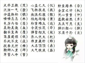 最后的建议