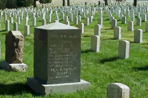 一、  品种选择与环境适应性的深度剖析