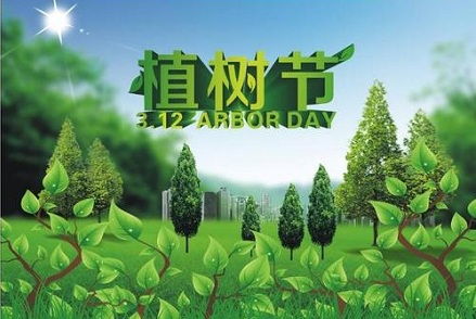 二、 癸卯年时空能量场构建与植树活动适配性解析