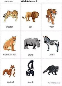 闻风自遁的生肖是什么打一生肖动物是？